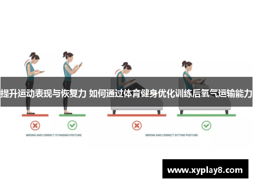 提升运动表现与恢复力 如何通过体育健身优化训练后氧气运输能力